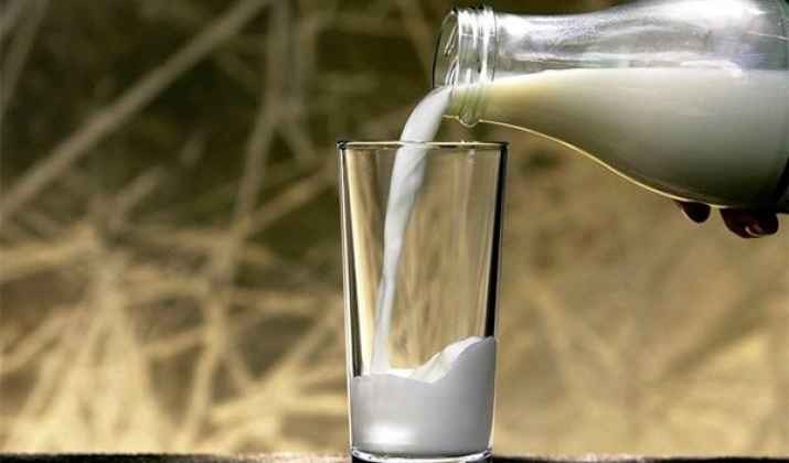 В Нальчике обсудят качество молочных изделий
