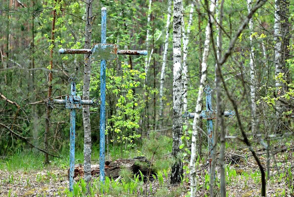 В Прохладненском районе КБР нашли 19 бесхозных кладбищ
