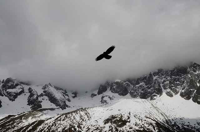 Экстренное оповещение: в горах КБР ожидается снегопад