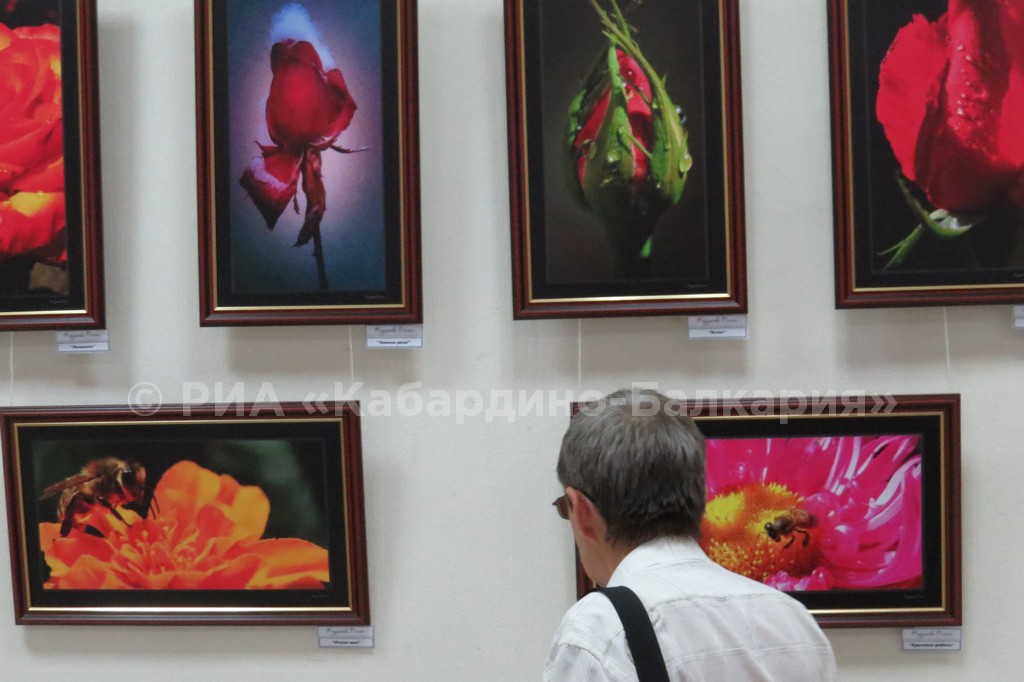 В Нальчике открылась выставка студии «Свой стиль»