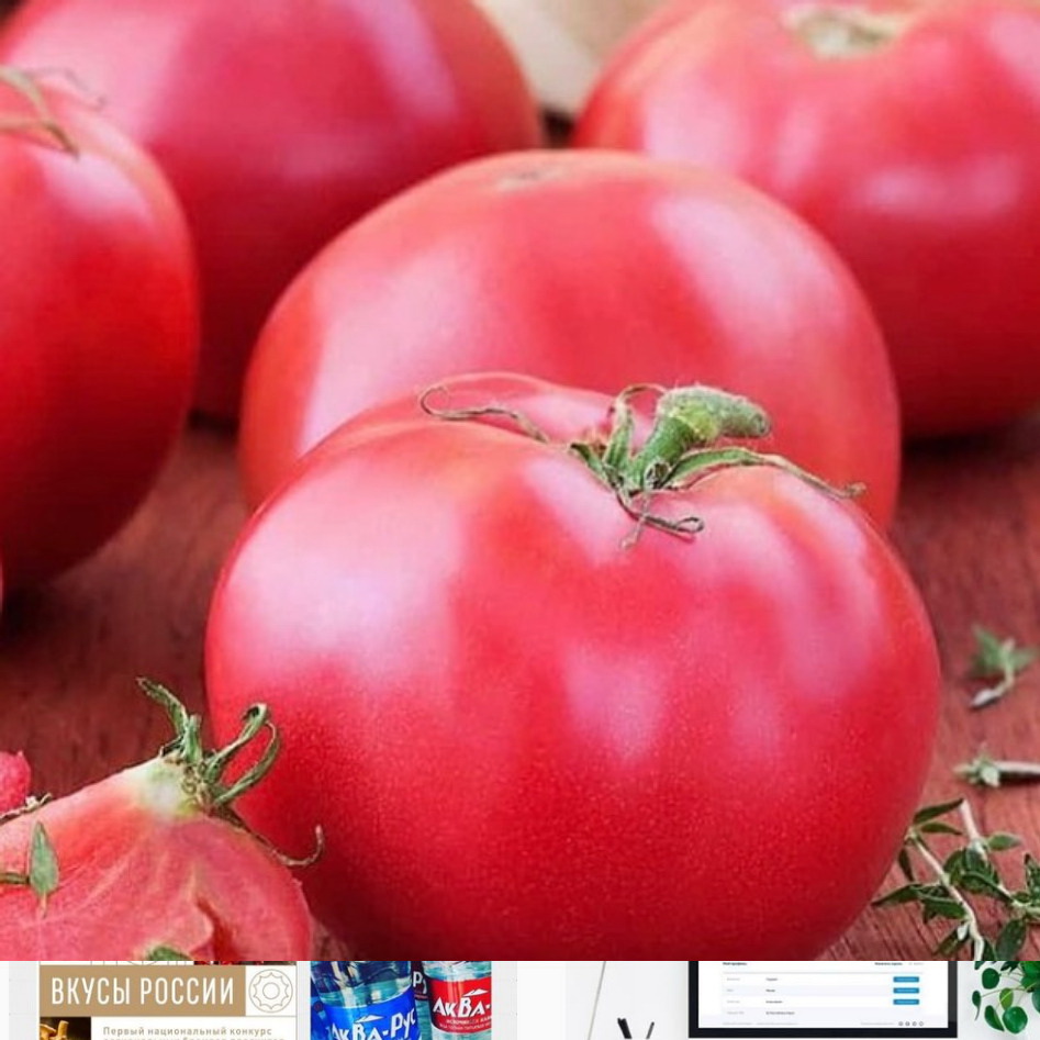 Кахунские помидоры заявлены в национальном конкурсе «Вкусы России»  