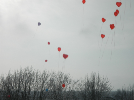 В Лескенском районе отметили День Святого Валентина