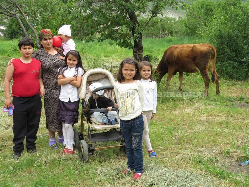 Детский фонд КБР вручил юбилейную корову