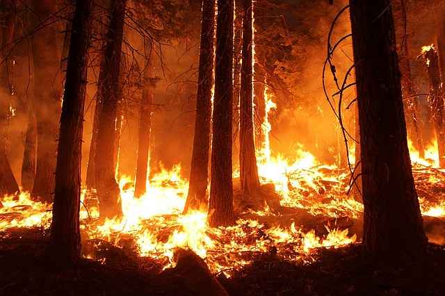 В Приэльбрусье продолжают тушить лесной пожар