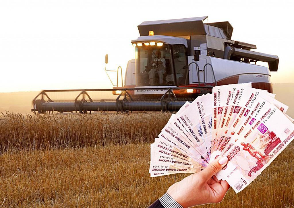           Россельхозбанк выдал аграриям Кабардино-Балкарии более 400 млн рублей на льготных условиях