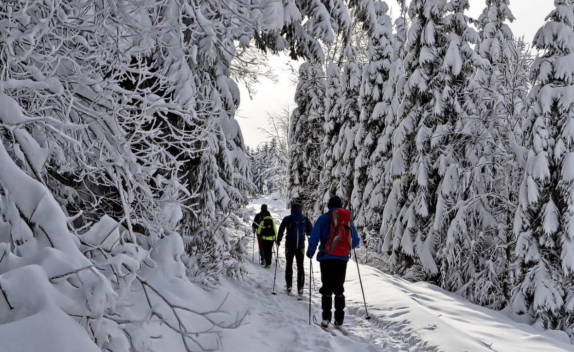Минприроды запустит усовершенствованный аналог Booking для экотуризма зимой