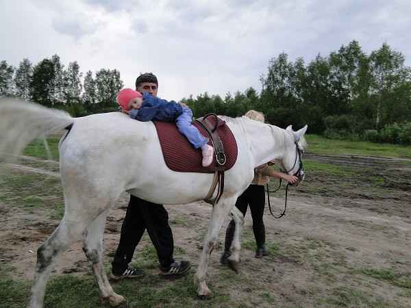 Лошади помогают перевоспитывать осужденных 