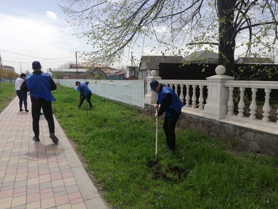 Волонтеры сажали деревья