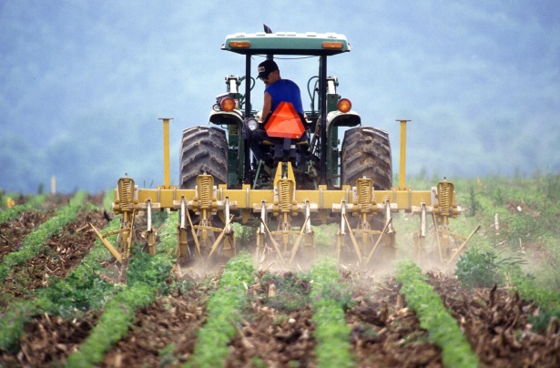 В КБР увеличилось производство сельскохозяйственной продукции
