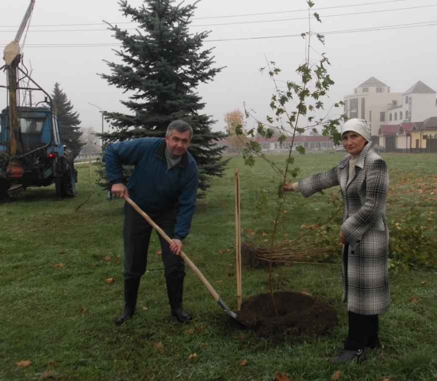 В Чегемском районе высадили более 200 саженцев деревьев