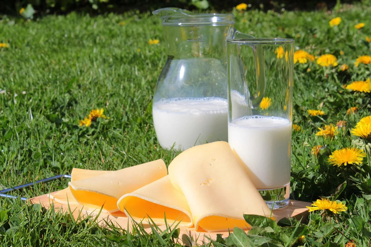Кабардино-Балкария увеличила производство молока