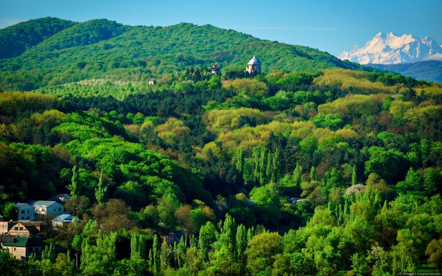 В Кабардино-Балкарии стартует акция «Сохраним лес»