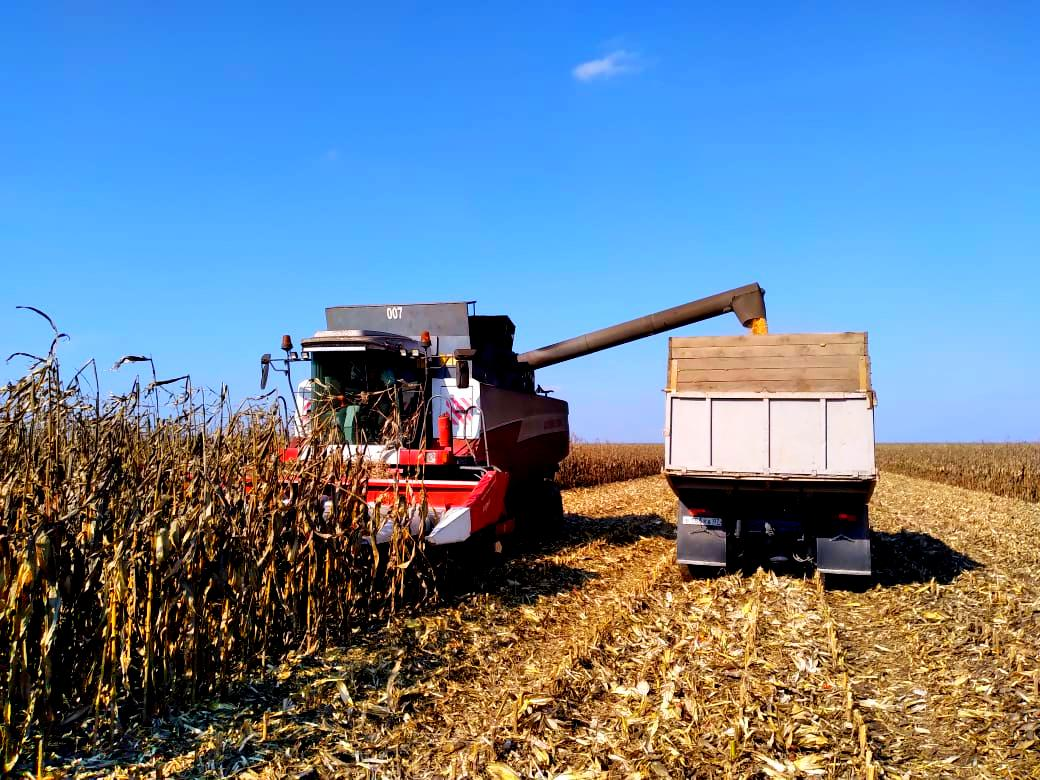 В Баксанском районе завершается уборка зерновых