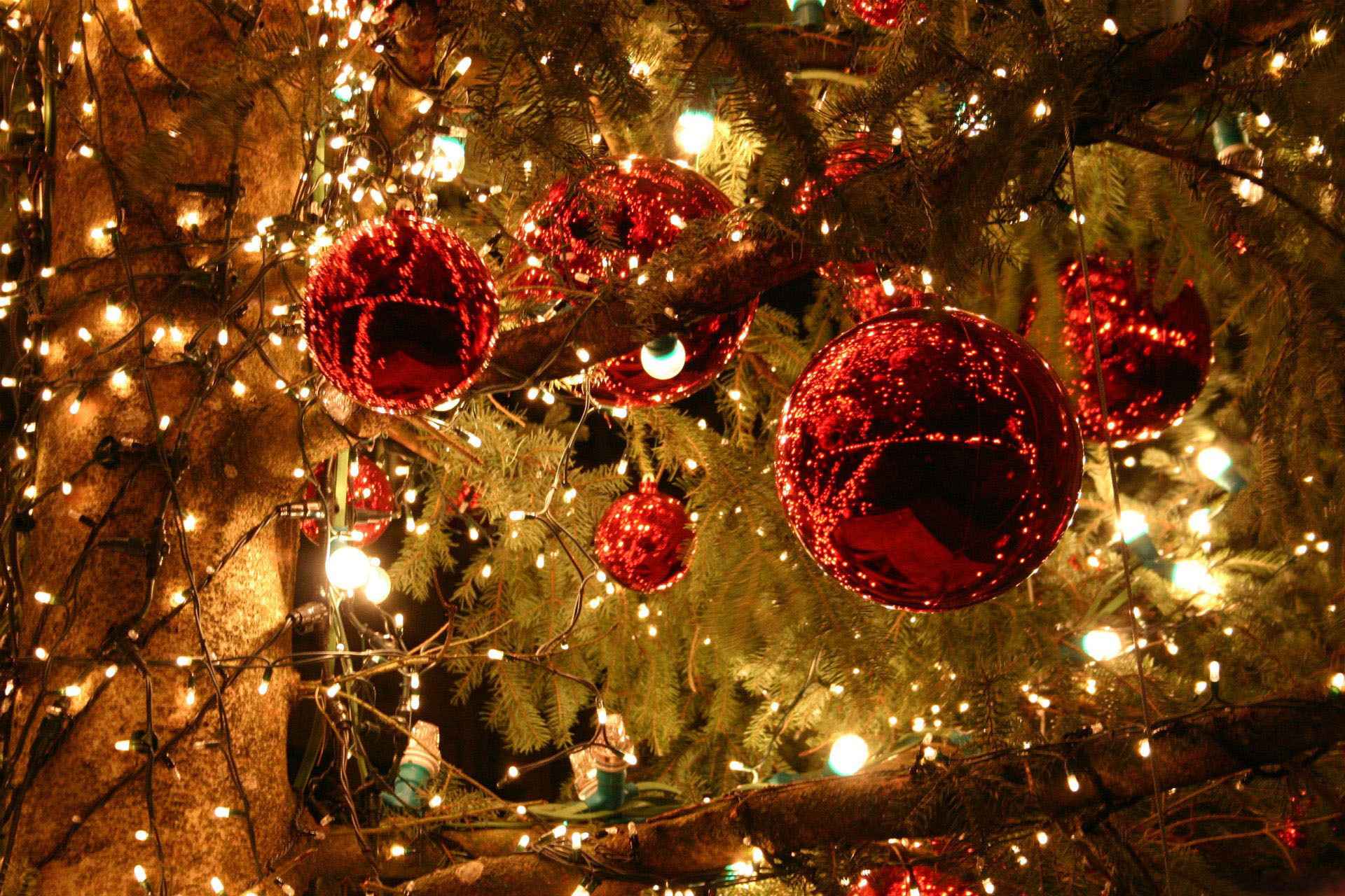 В КБР на проведение республиканской новогодней елки выделят больше 4 миллионов рублей