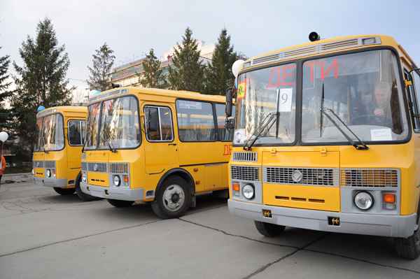 Шесть новых школьных автобусов 
