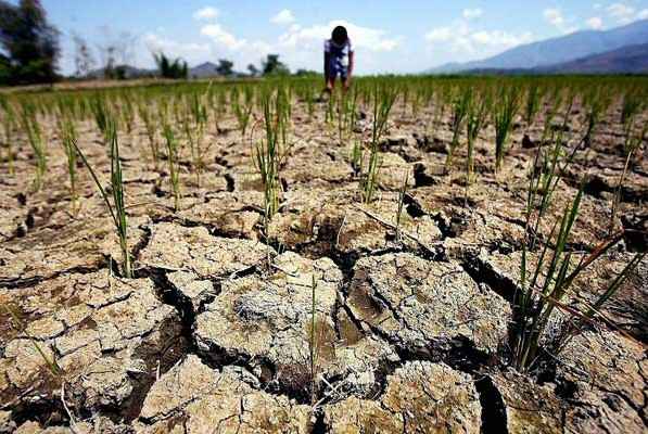 МЧС предупреждает о засушливой погоде в Кабардино-Балкарии