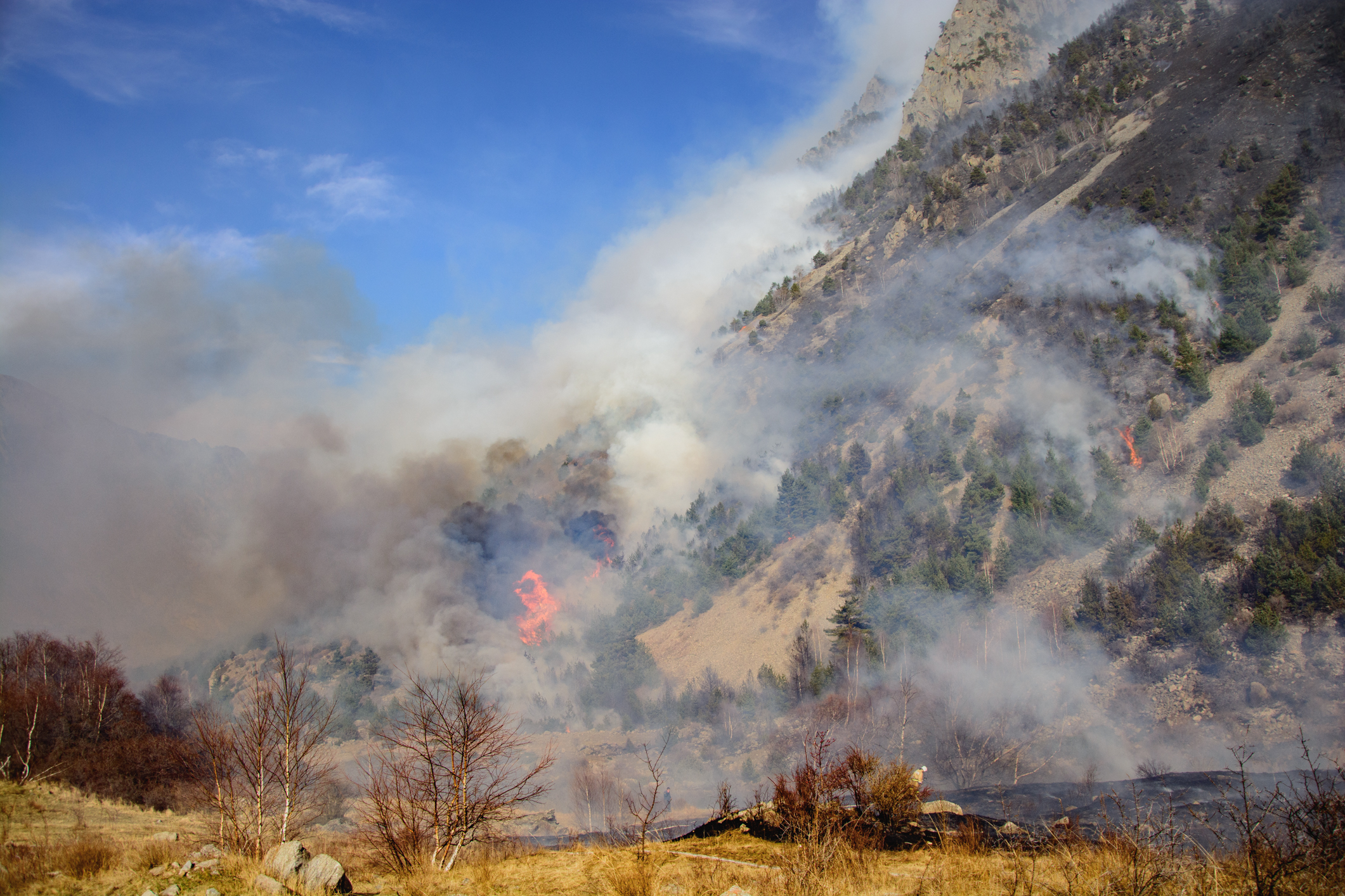 36 человек задействовано на тушении пожара в Эльбрусском лесничестве