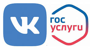 Минцифры РФ включило «Госуслуги» и «ВКонтакте» в список социально значимых ресурсов