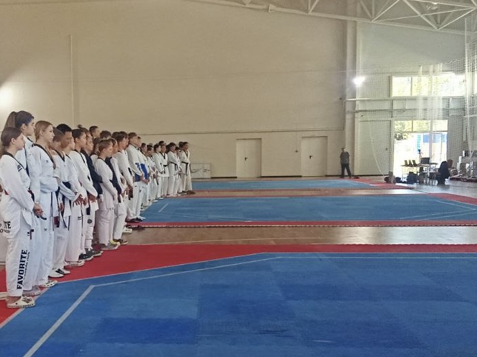 В Кабардино-Балкарии проходит открытый турнир по тхэквондо