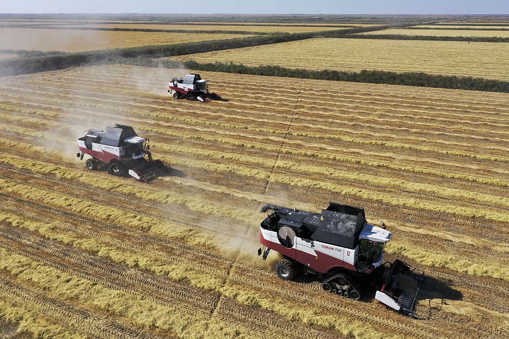 На льготные кредиты для сельхозпроизводителей дополнительно выделят 25 млрд рублей