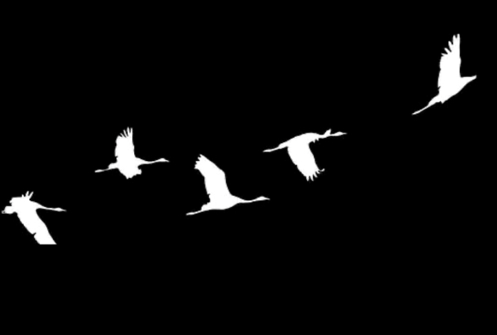 Кабардино-Балкария присоединилась к памятной акции «Журавли»