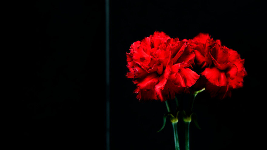 В России отмечается День памяти журналистов