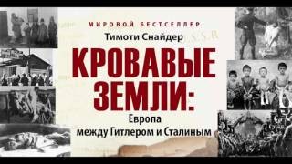О фальсификациях истории Второй мировой и Великой по книге Снайдера