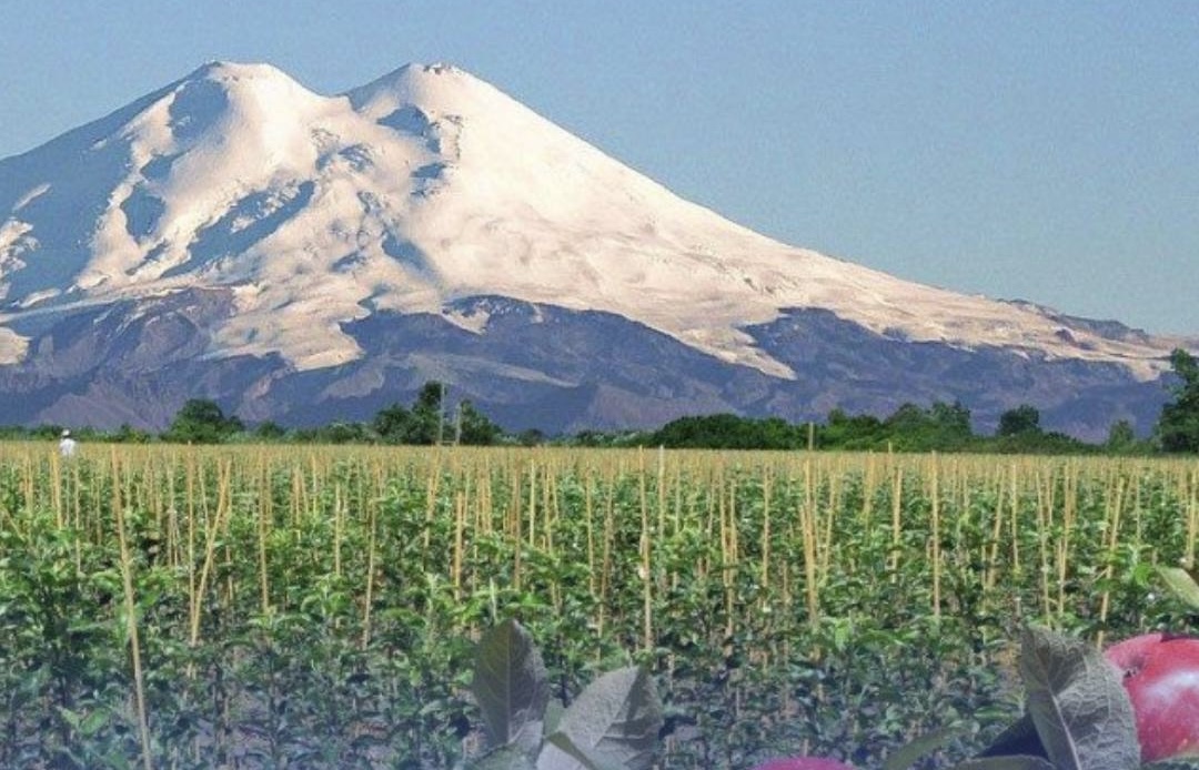 Кабардино-Балкария наращивает показатели агропромышленного комплекса