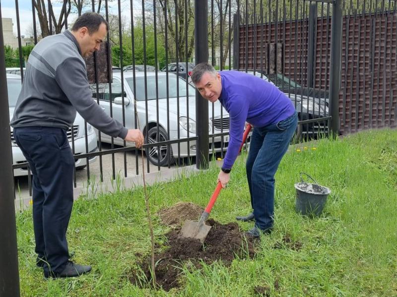Судебные приставы Кабардино-Балкарии приняли участие в акции «Сад памяти»