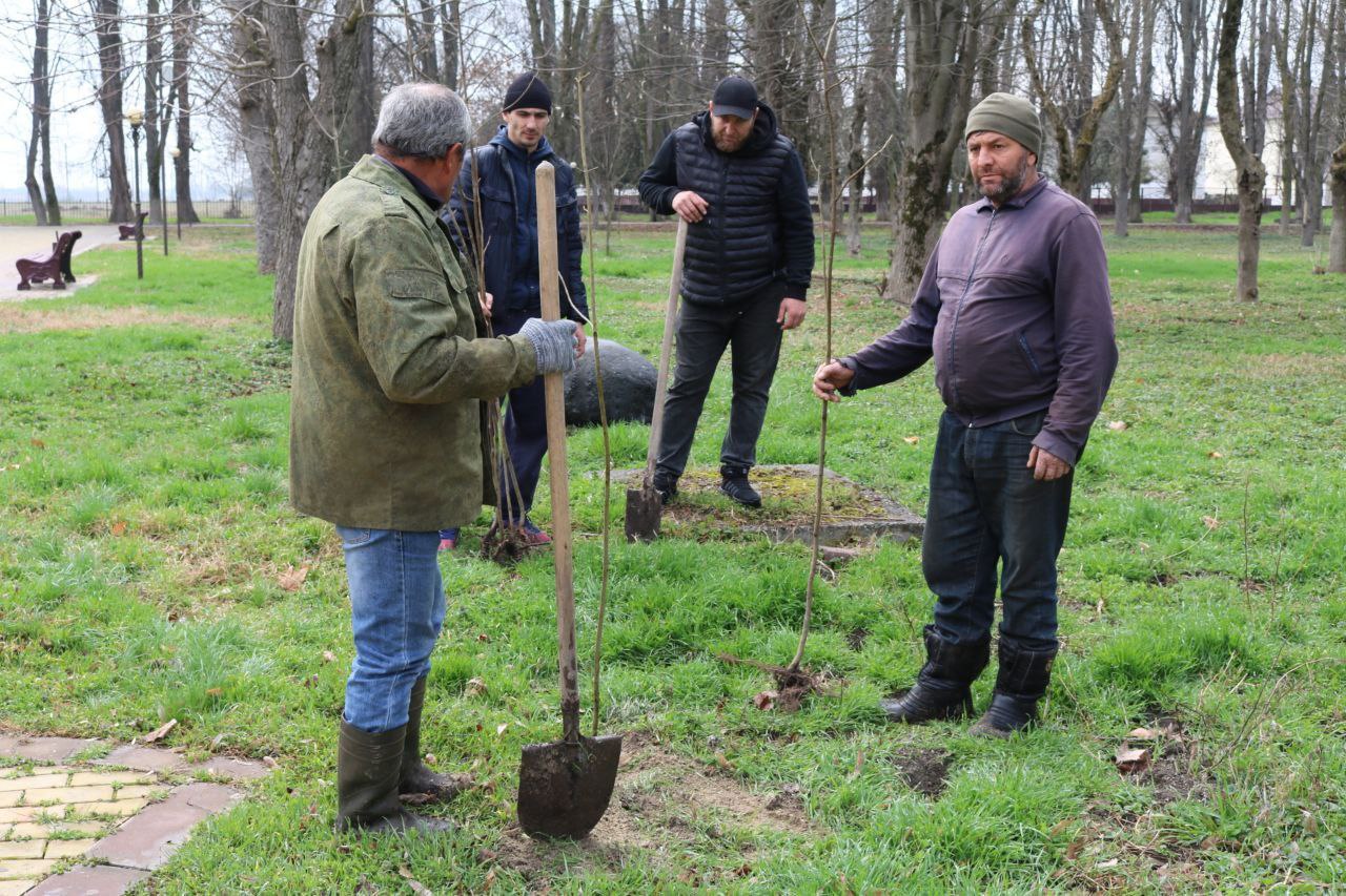 В парке «Муртазовский» высадили молодые саженцы клена, ясеня и липы 