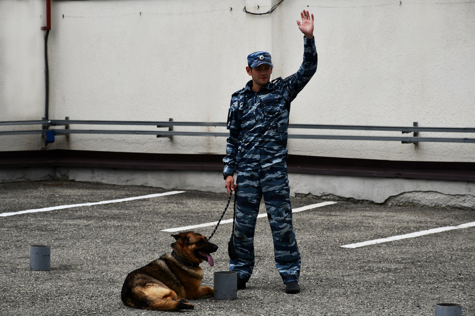 В Центре кинологической службы прошли межведомственные соревнования |  22.06.2024 | Новости Нальчика - БезФормата