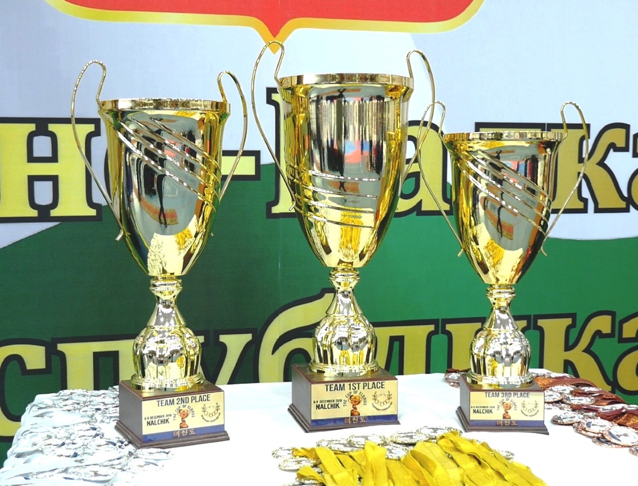 В Нальчике завершился «Кубок Эльбруса» по тхэквондо