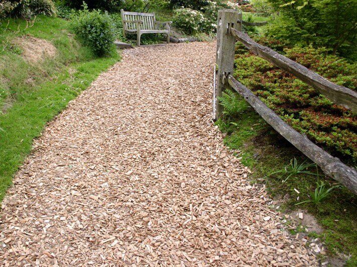 Экотропы из «старой» елки 