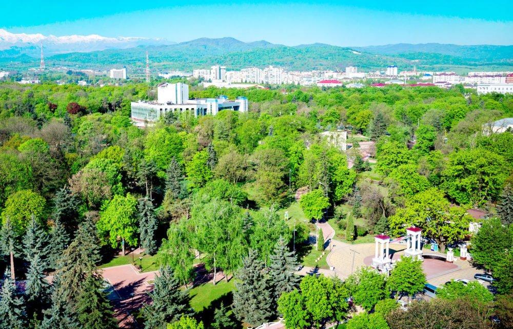 В 2024 году в Нальчике высажено около 1200 зеленых насаждений