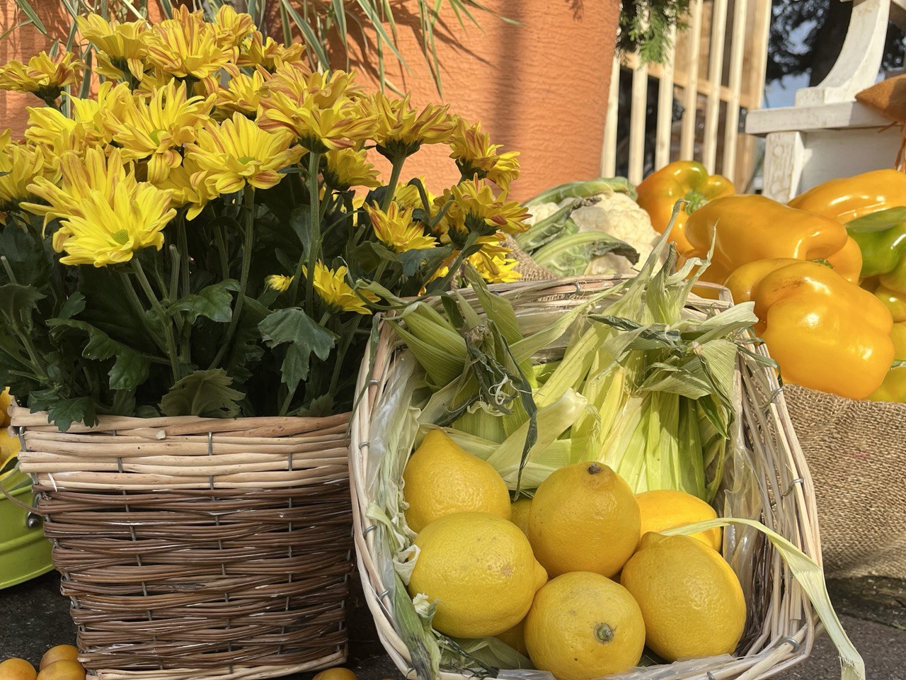 В Нальчике пройдет юбилейный фестиваль цветов 