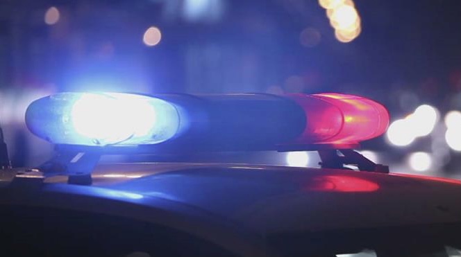 Результаты профилактического декадника «Водитель без прав»