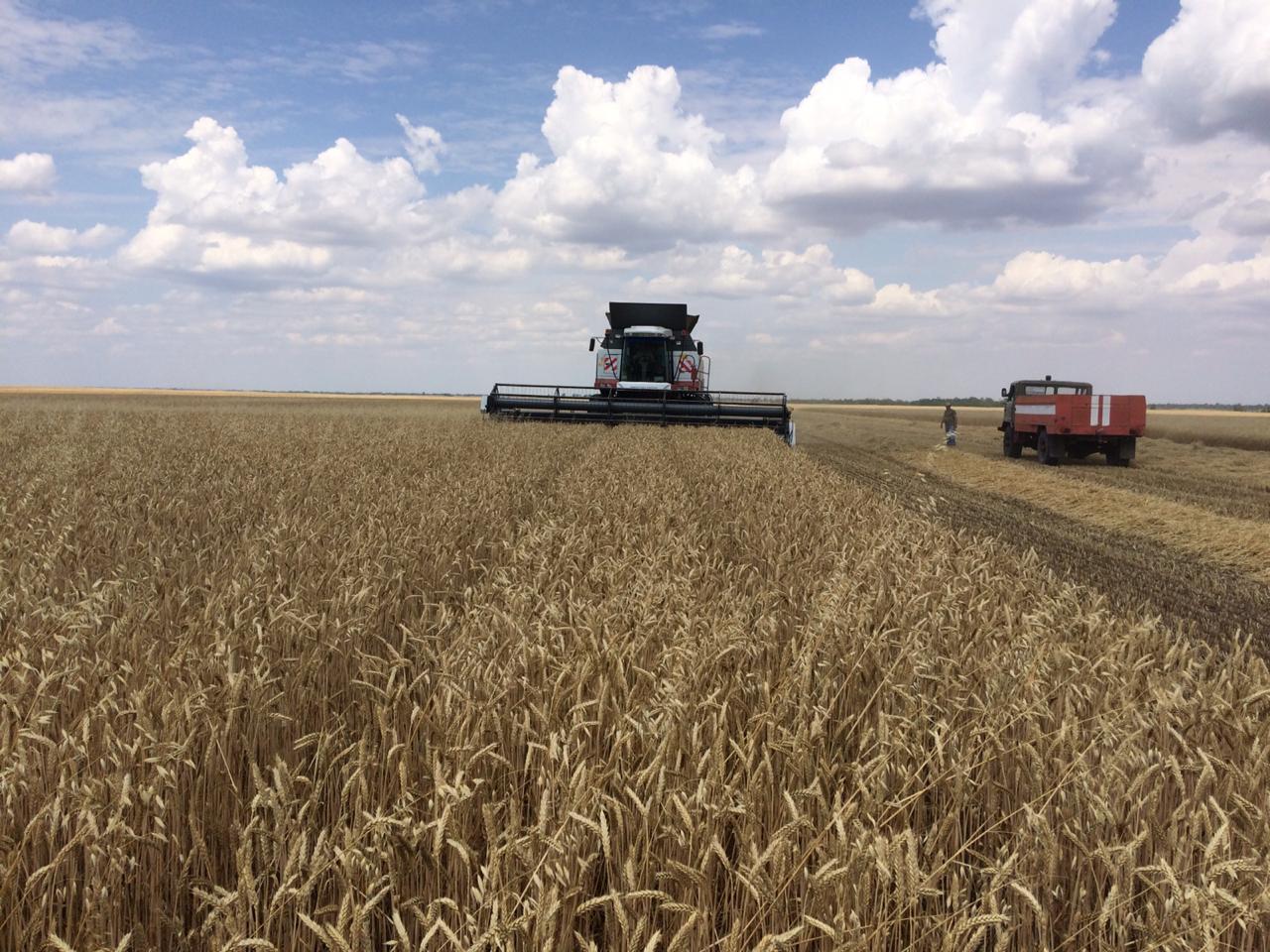 Уборочная кампания в Кабардино-Балкарии набирает обороты