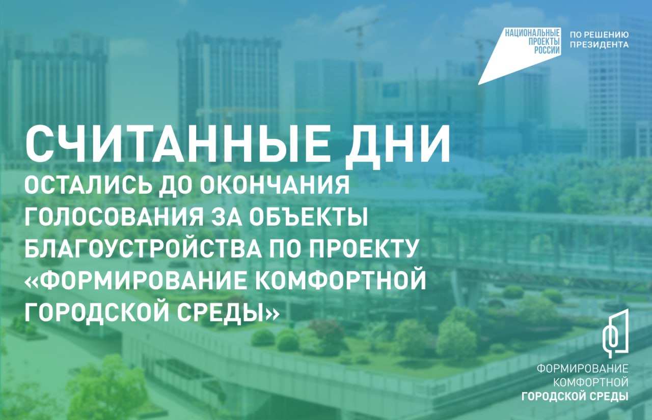 Два дня осталось до окончания голосования за объекты благоустройства 