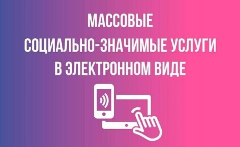 Минцифры: практически все социально значимые услуги уже доступны онлайн