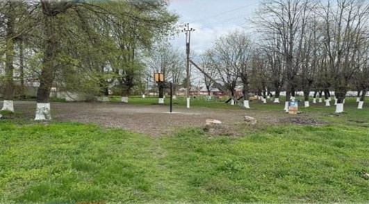 В Тереке проходит рейтинговое голосование