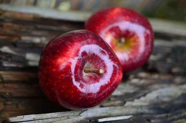 В Кабардино-Балкарии яблоки будут собирать роботы