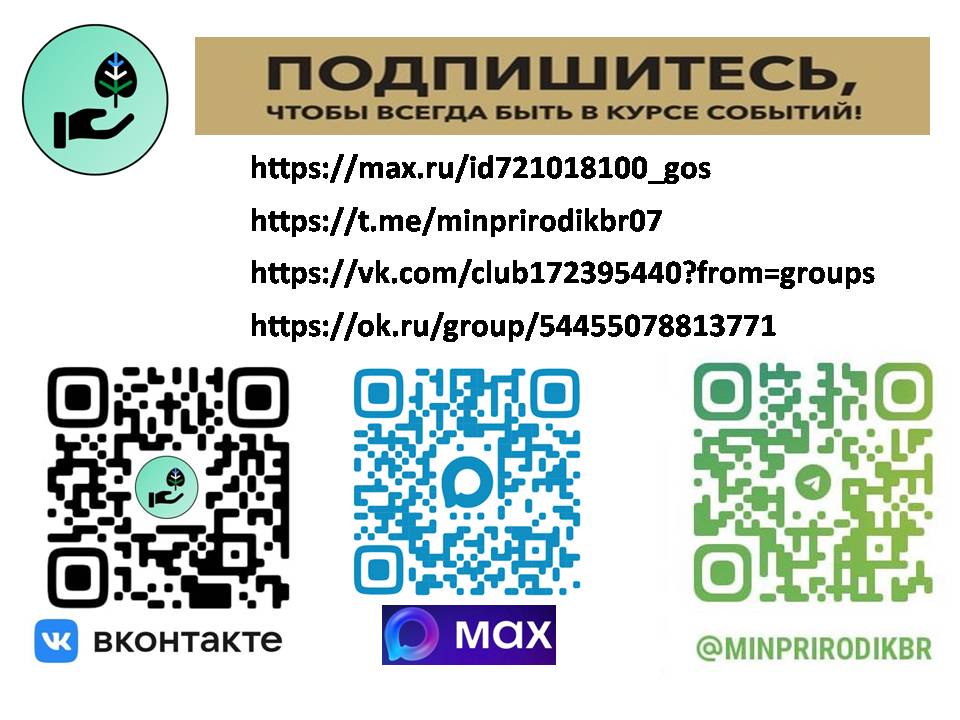 Всё самое интересное на страницах социальных сетей Минприроды КБР