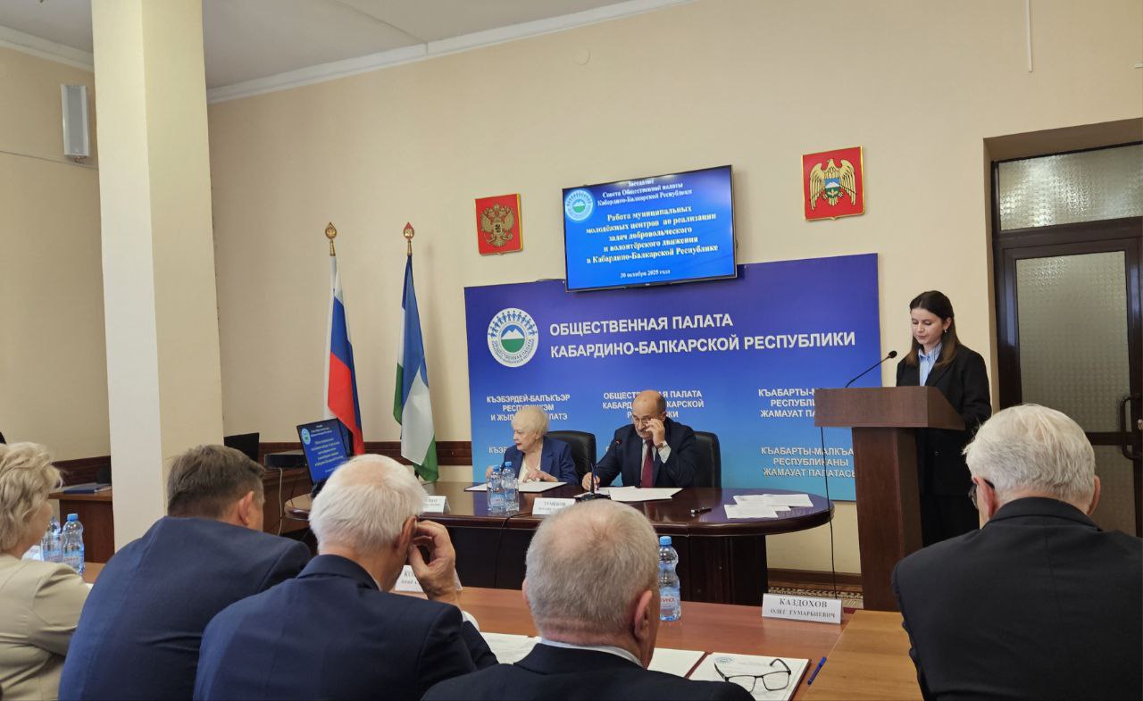 В Общественной палате КБР обсудили работу муниципальных молодёжных центров