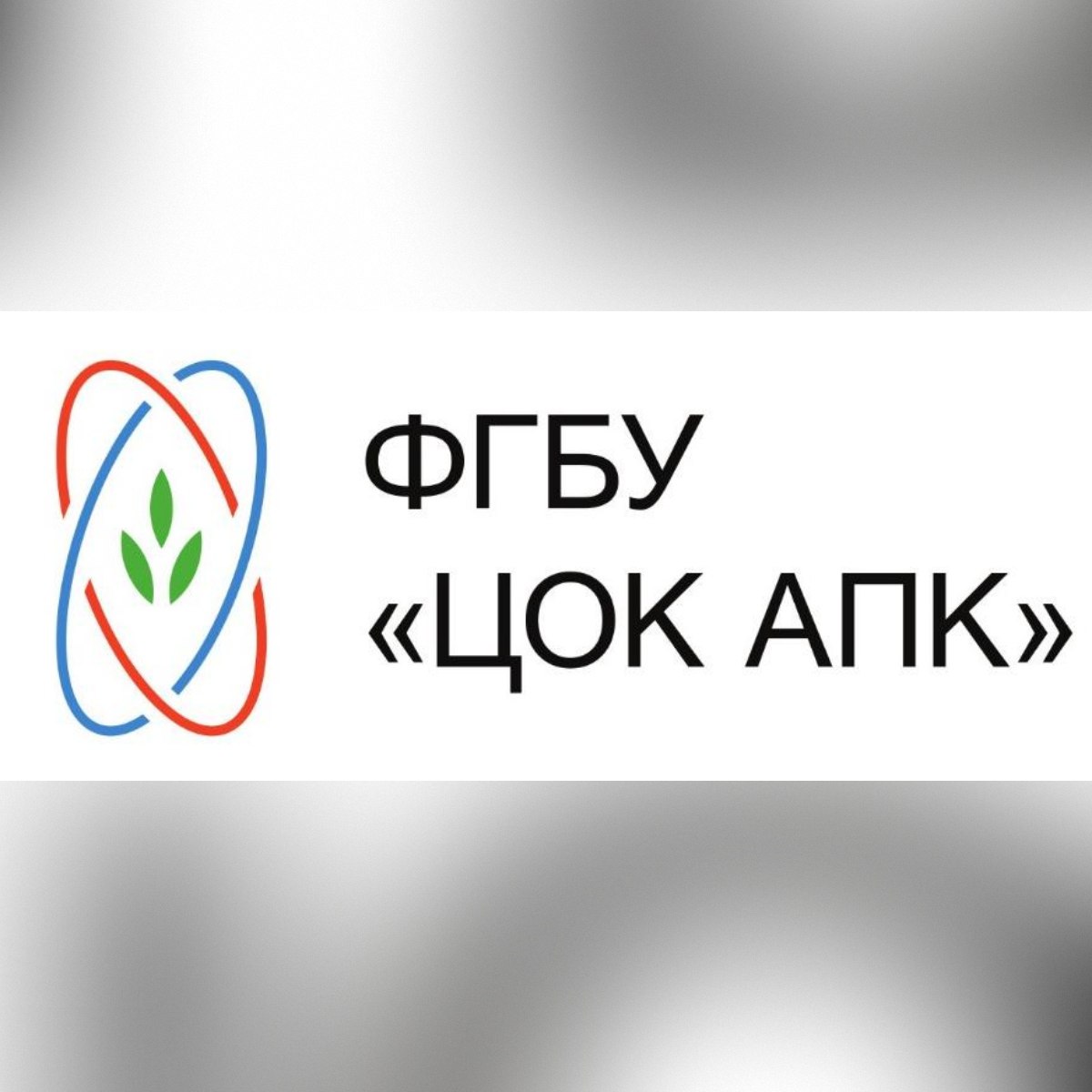 Кабардино-Балкария - яблочный лидер России    