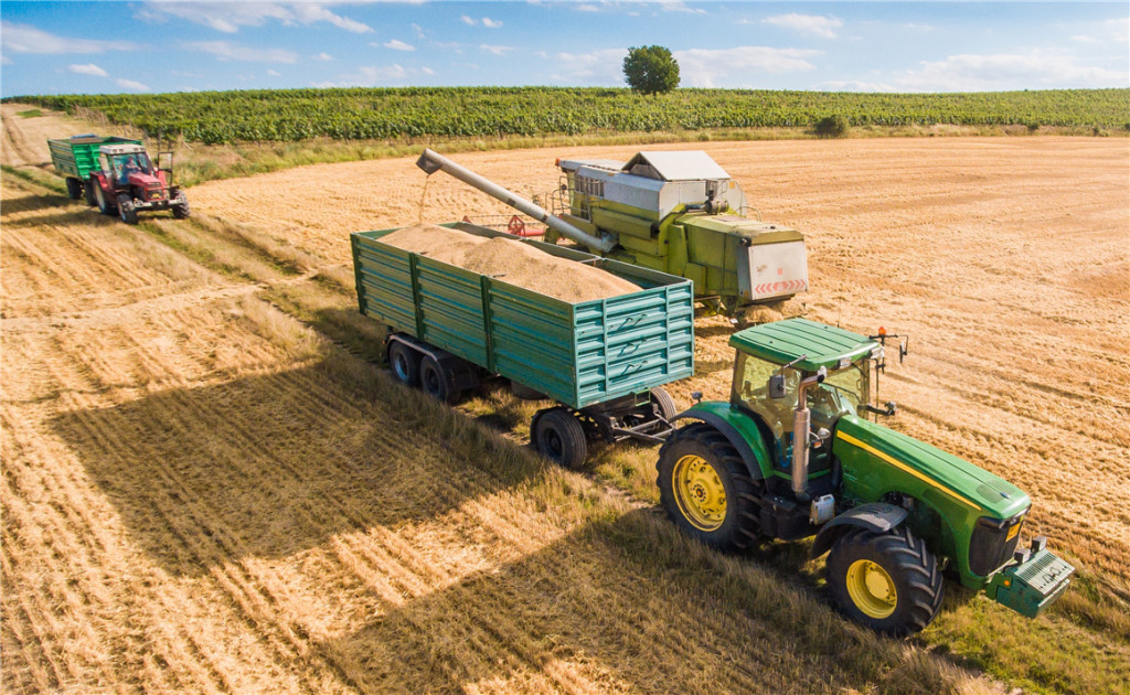 Правительство РФ продолжит поддерживать аграрный сектор