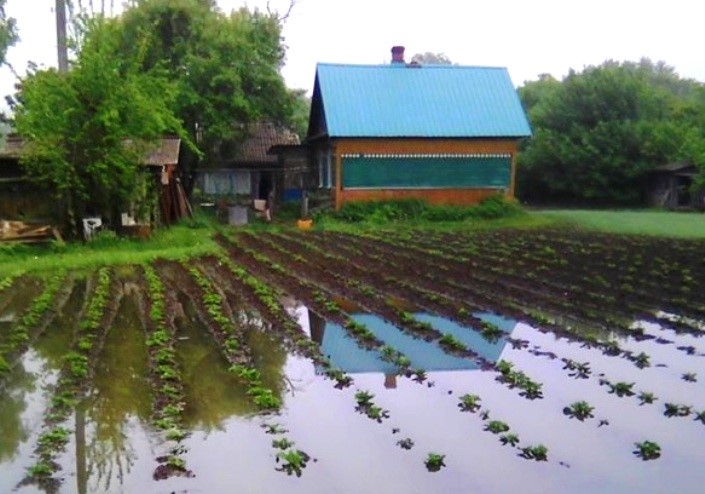 В Псыкоде подтопило несколько приусадебных участков