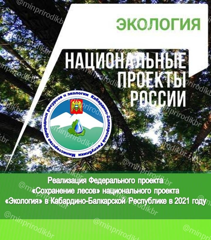 В Кабардино-Балкарии идут работы по восстановлению лесов