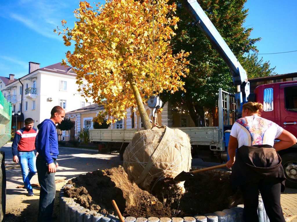 На улице Кабардинской сажают деревья