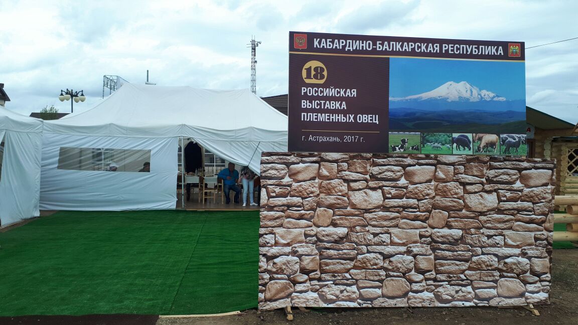 КБР блеснула на всероссийской выставке племенных овец и коз