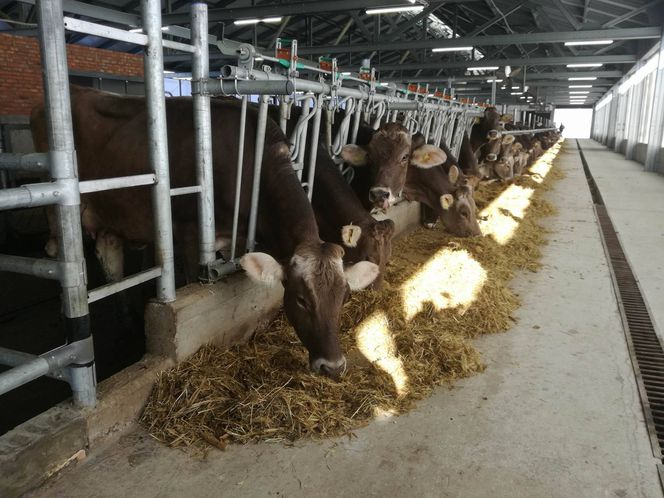 Аграрии Баксанского района подвели итоги года